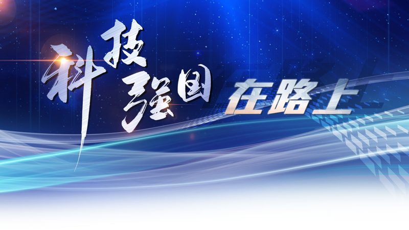 上海智能客服系统：构建高效客户服务新生态
