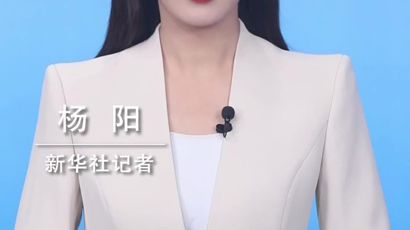 数据安全等级保护流程步骤解析